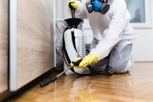 Best Mosquito Control Services  in Twin Lakes, VA