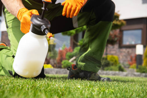 Best Pest Inspection Near Me  in Twin Lakes, VA