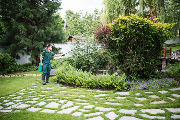 Trusted Twin Lakes, VA Pest Control Experts