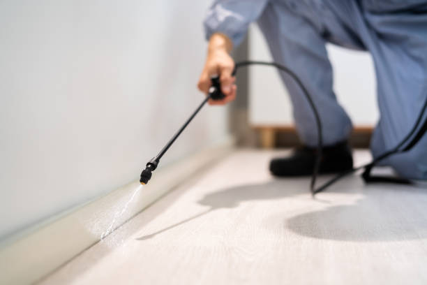 Best Termite Control Services  in Twin Lakes, VA