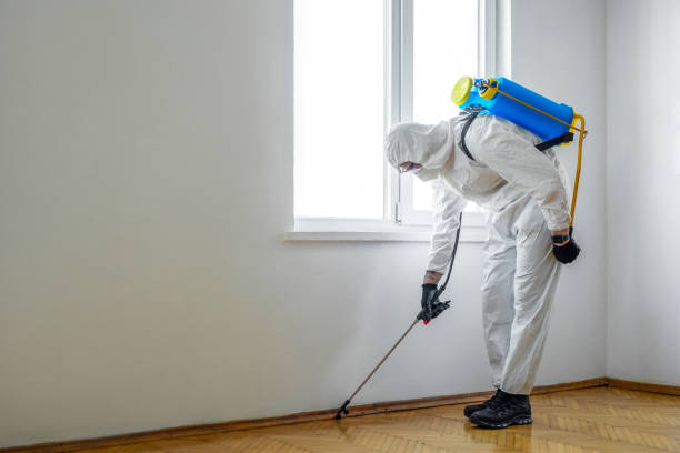 Best Pest Control Near Me  in Twin Lakes, VA