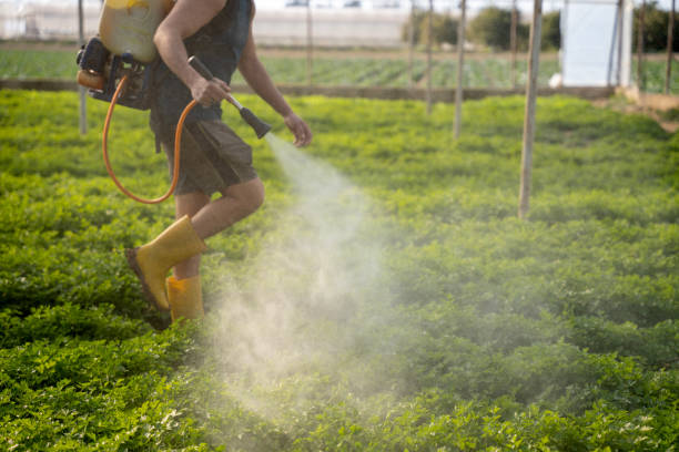 Best Commercial Pest Control Services  in Twin Lakes, VA