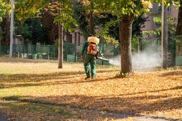 Best Insect Control  in Twin Lakes, VA