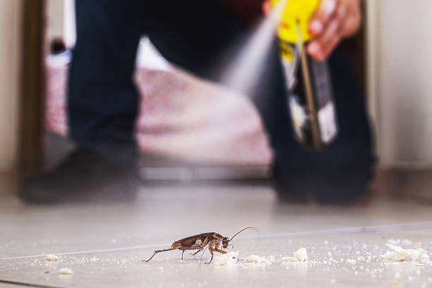 Wildlife Control Services in Twin Lakes, VA