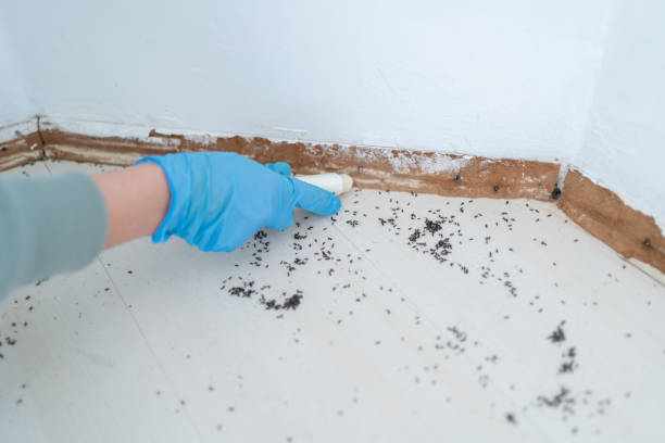 Best Commercial Pest Control Services  in Twin Lakes, VA
