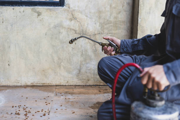 Best Local Pest Control Services  in Twin Lakes, VA